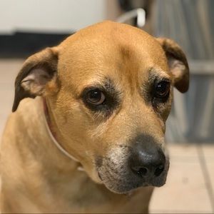 Meet your Posher, Jeff